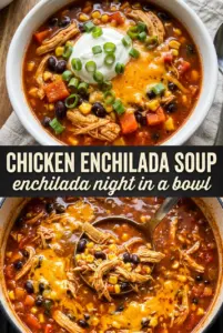 Chicken Enchilada Soup