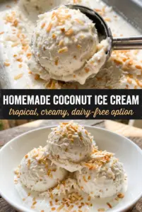 Homemade Coconut Ice Cream
