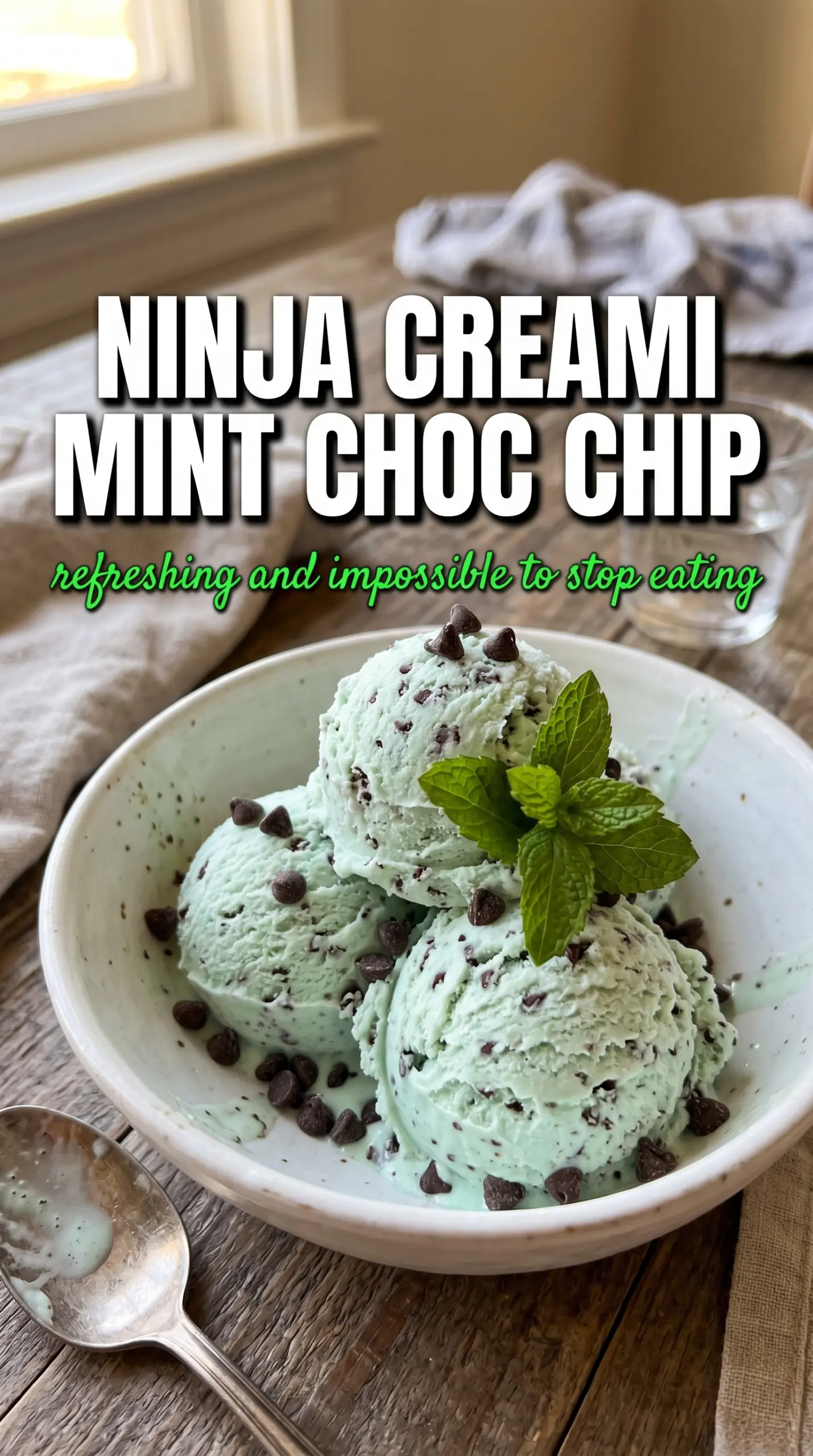 Ninja Creami Mint Chocolate Chip Ice Cream creamy mint chip