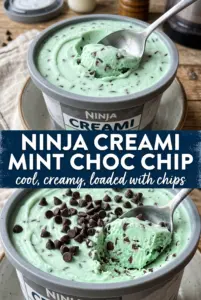 Ninja Creami Mint Chocolate Chip Ice Cream