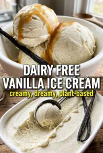 Dairy Free Vanilla Ice Cream