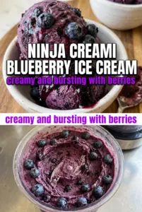 Ninja Creami Blueberry Ice Cream