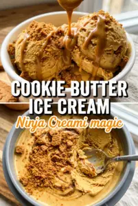 Ninja Creami Cookie Butter Ice Cream