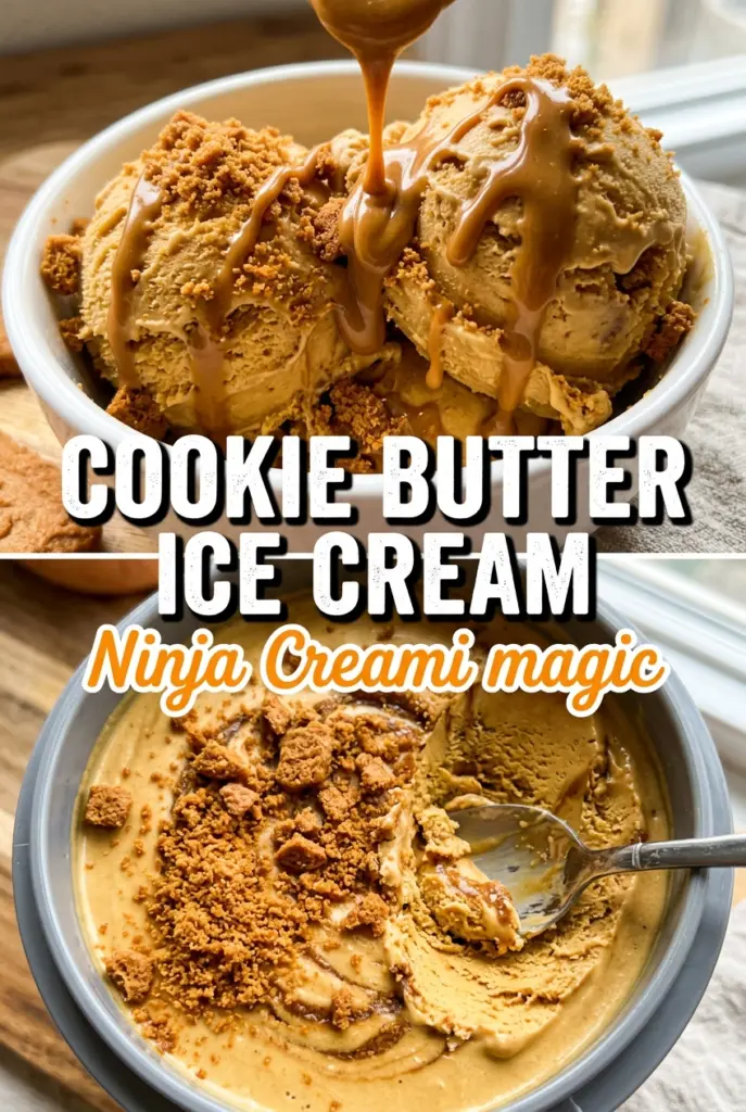 Ninja Creami Cookie Butter Ice Cream