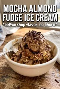 Mocha Almond Fudge Ice Cream