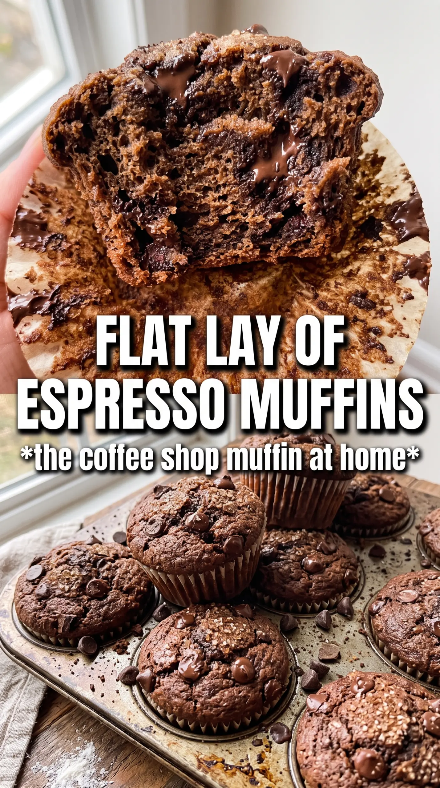 Double Chocolate Espresso Muffins rich mocha, chocolate chip, domed
