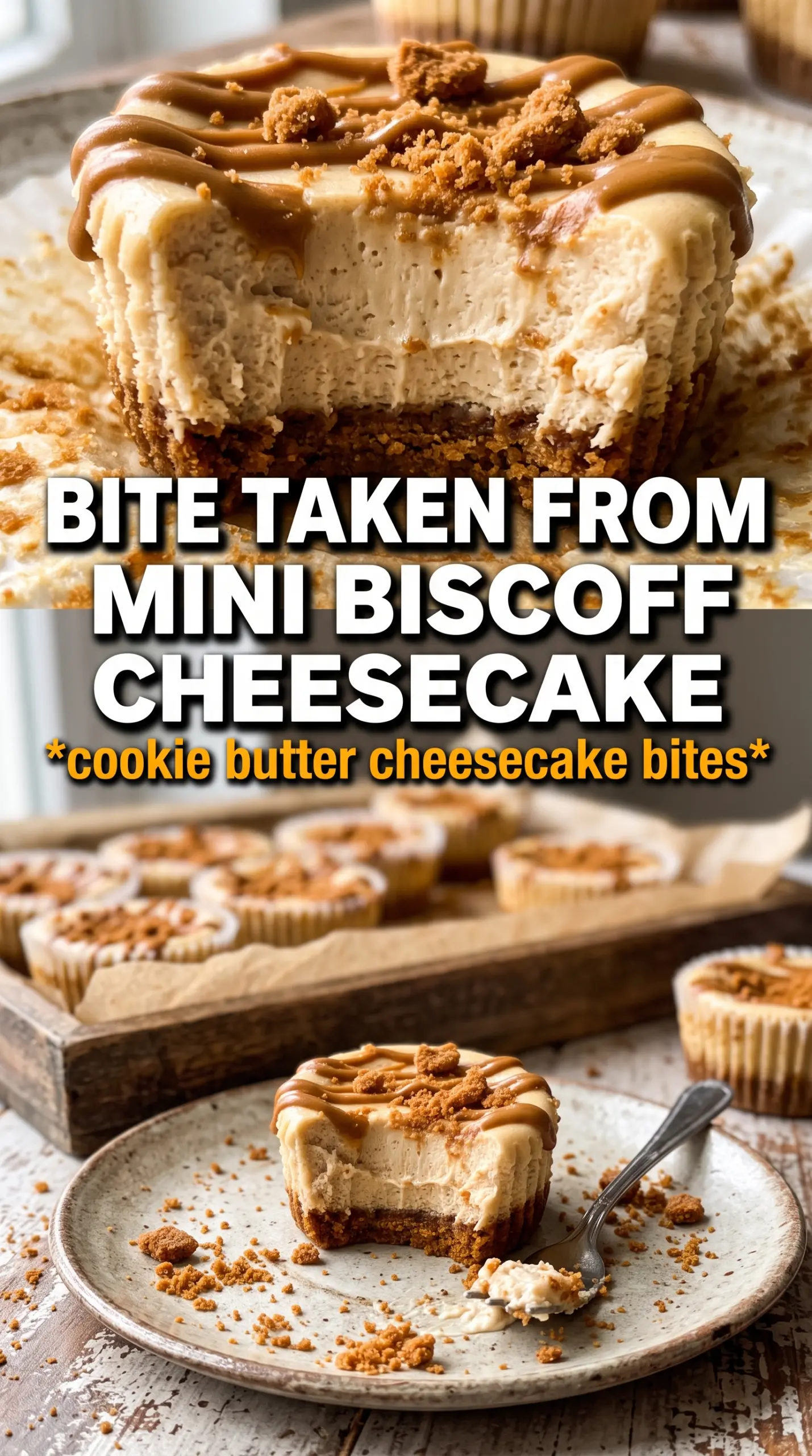 Mini Biscoff Cheesecakes creamy cookie butter